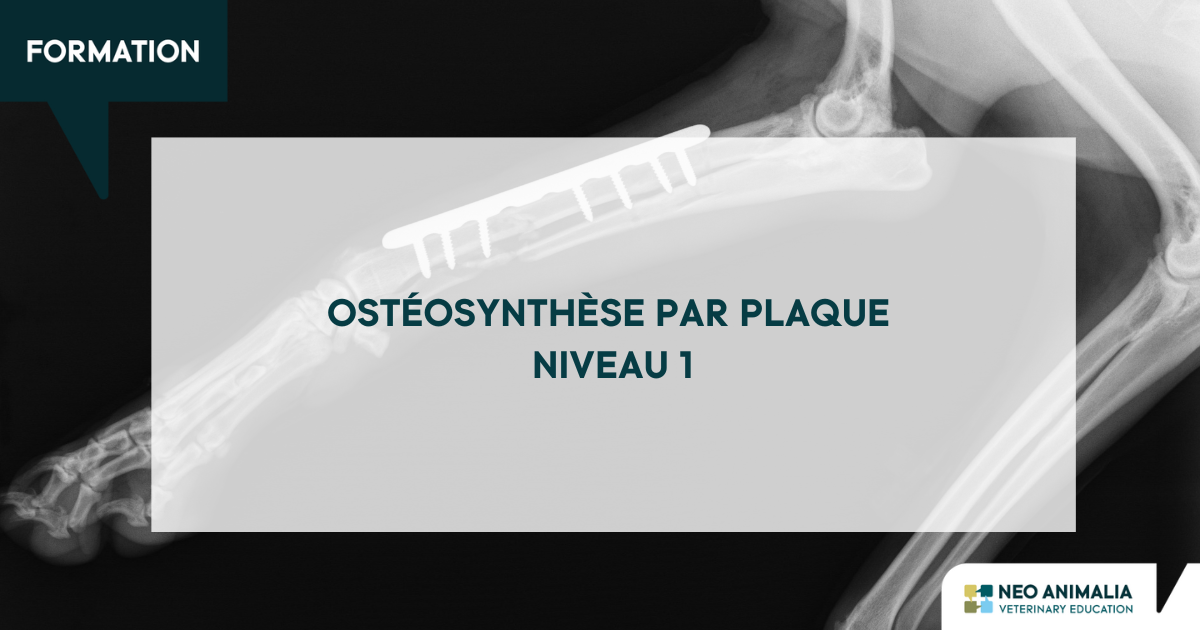 Formation CHIR14 : Ostéosynthèse par plaque – Niveau 1